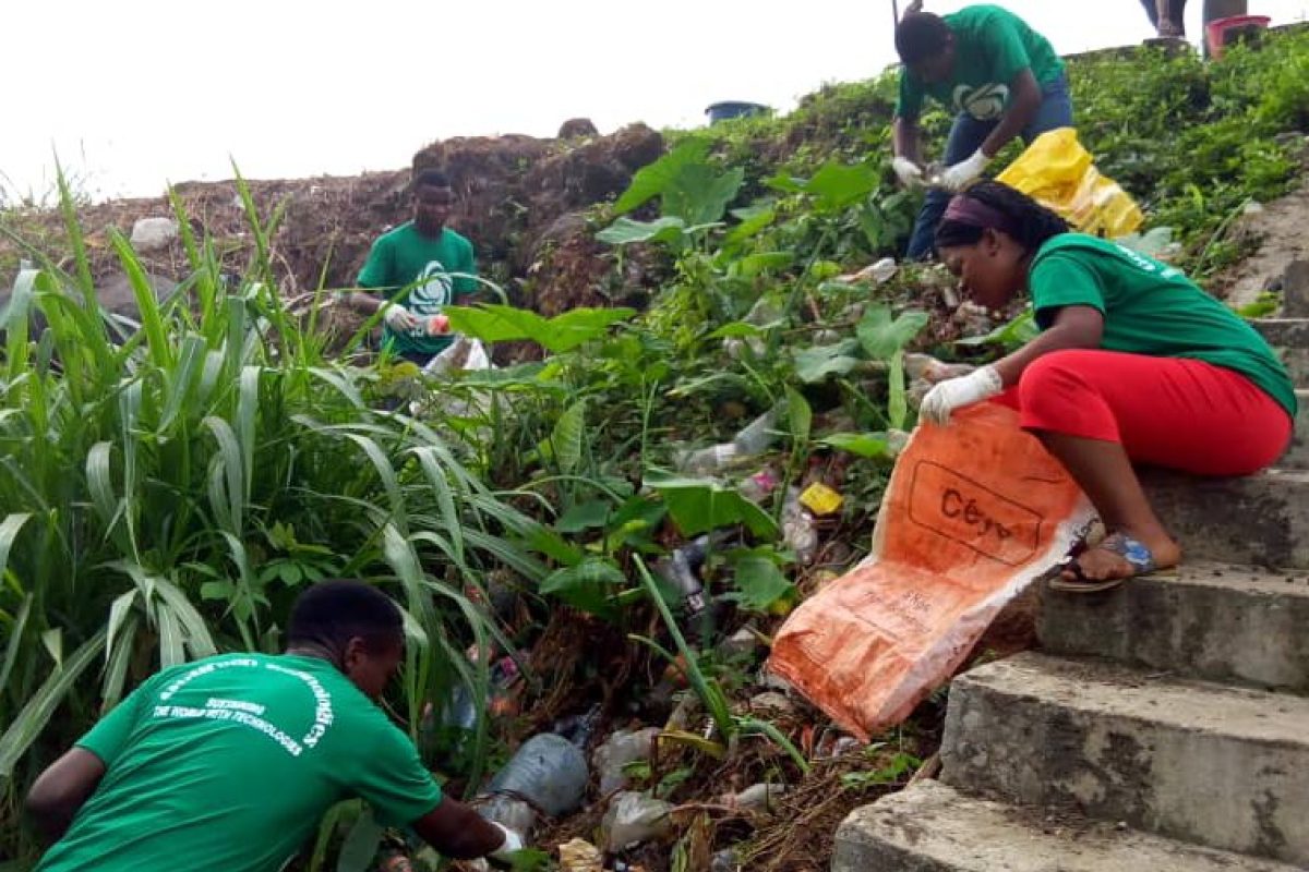 GoGreen Technologies Tree planting Climate change