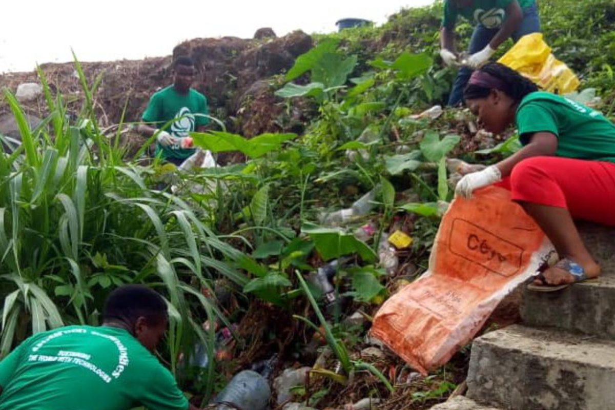 GoGreen Technologies Tree planting Climate change