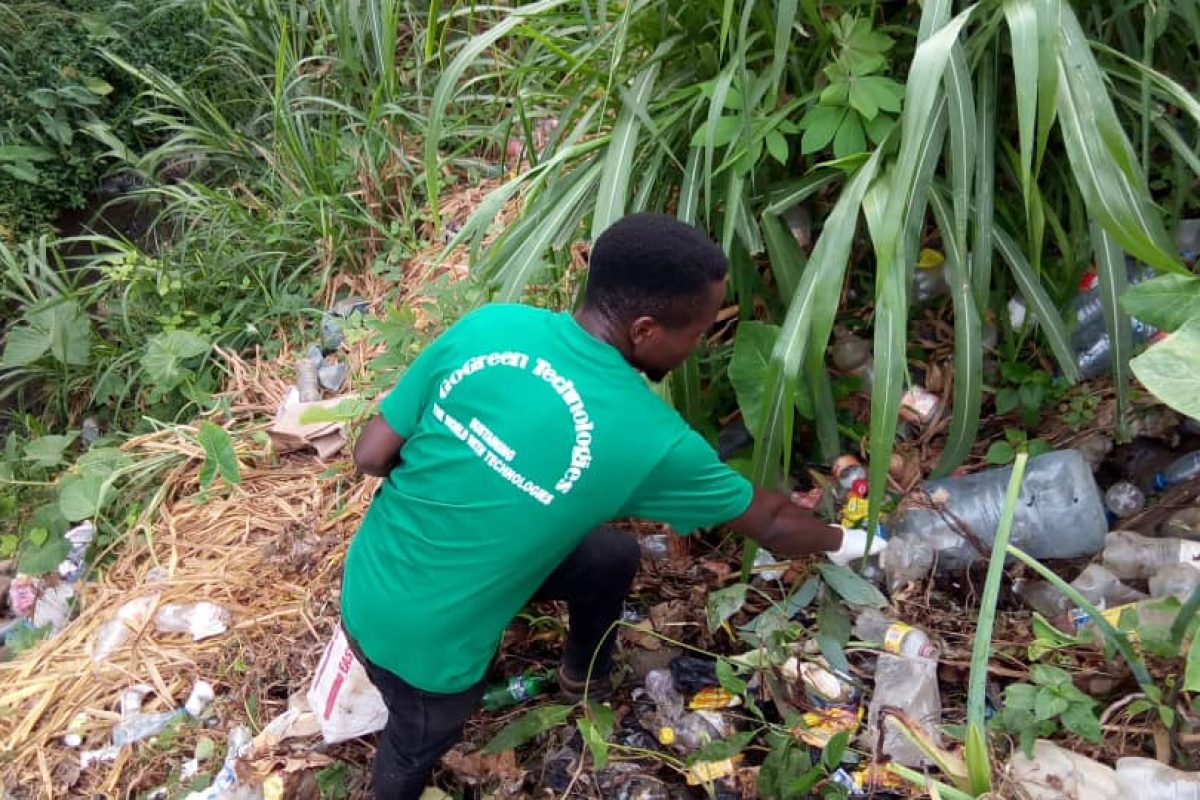 GoGreen Technologies Tree planting Climate change